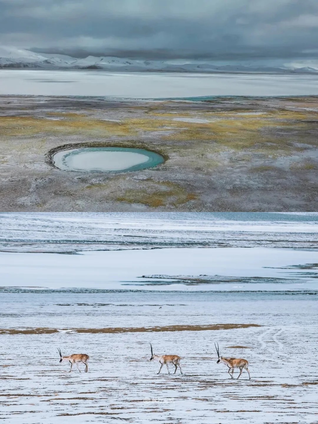11月活动｜走，我们去无人区野餐去❗_1_食野山桌_来自小红书网页版